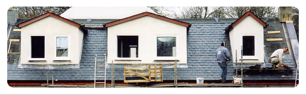 Preservation Works & Surveys - J & S Builders & Joiners - Ayrshire